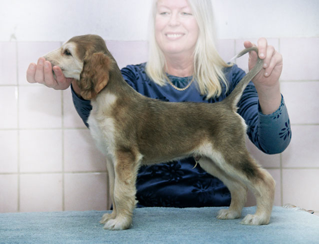 Kingsleah Kalahari, 6 weeks