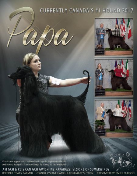 Papa