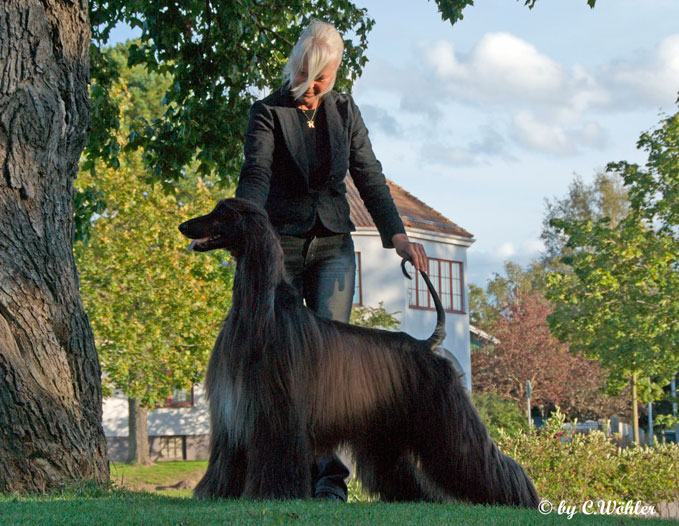 Ryan with Gunilla in Sweden